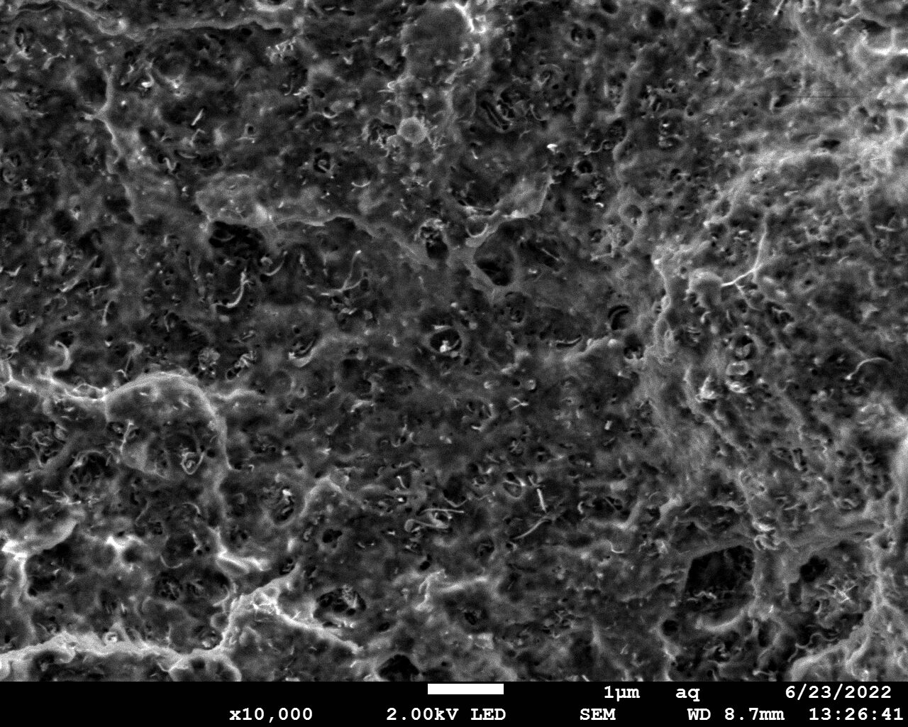 Scanning electron microscope image of a discrete CNT ESD material
