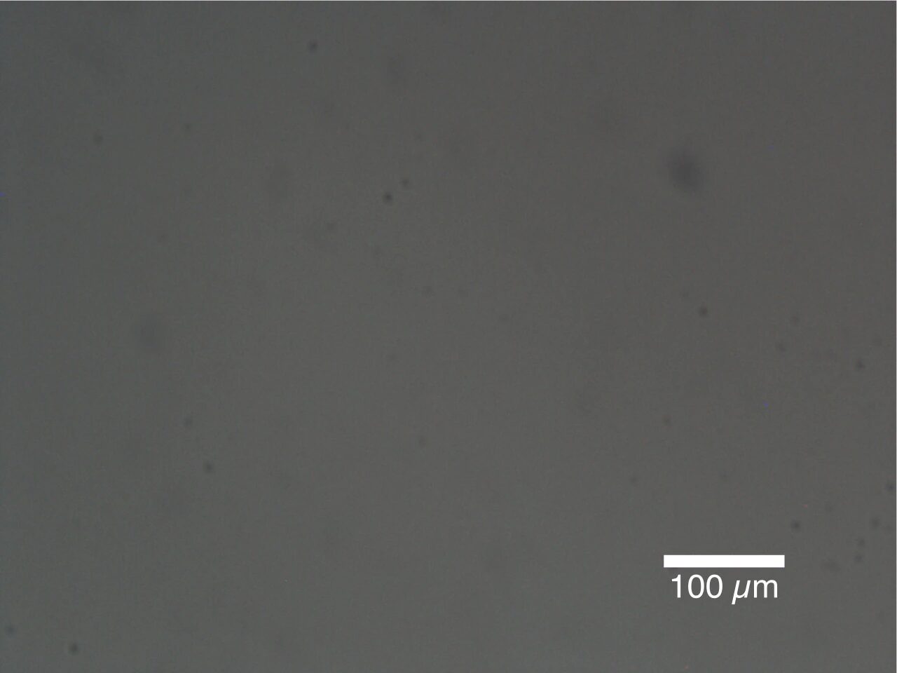 Improved dCNT dispersion micrograph
